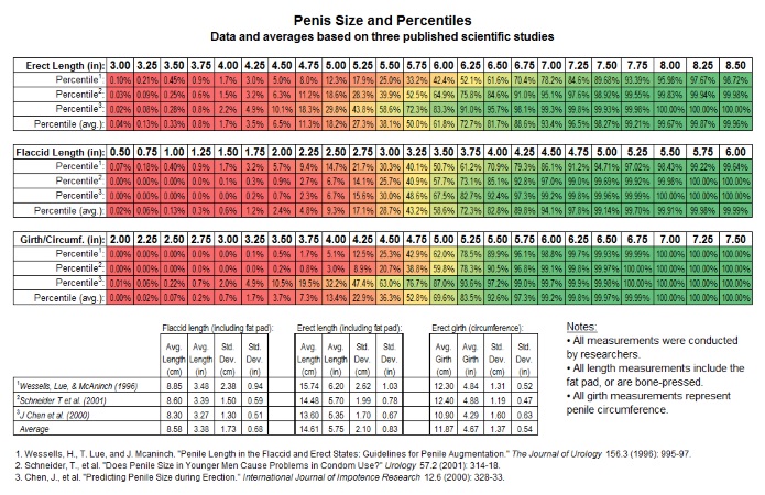 2018 How To Measure Penis Size Are You Above The Average