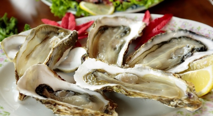 oysters