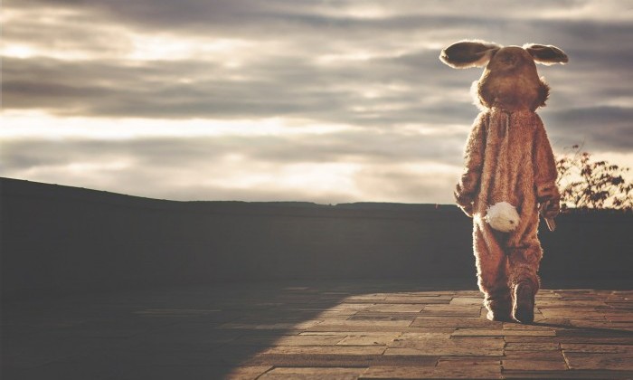 man in rabbit costume