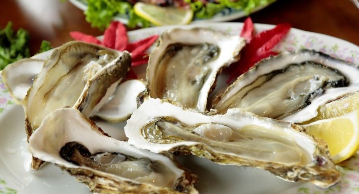 oysters on plate with ice