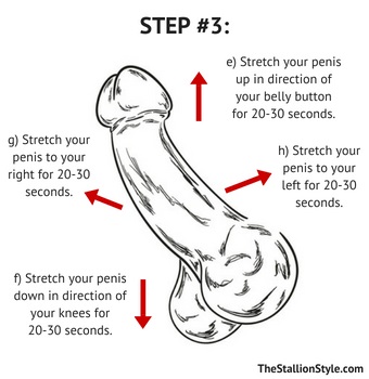 Penis Stretching