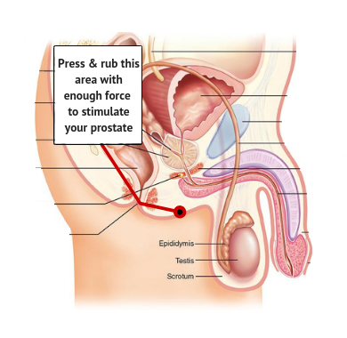 External Prostate Massage